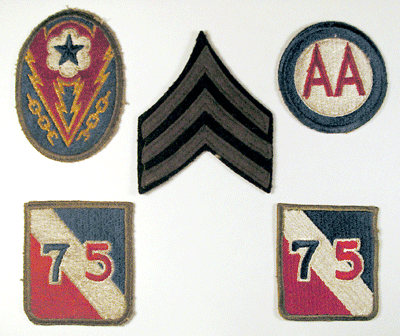 291st Infantry Regiment Embroidered Patch 